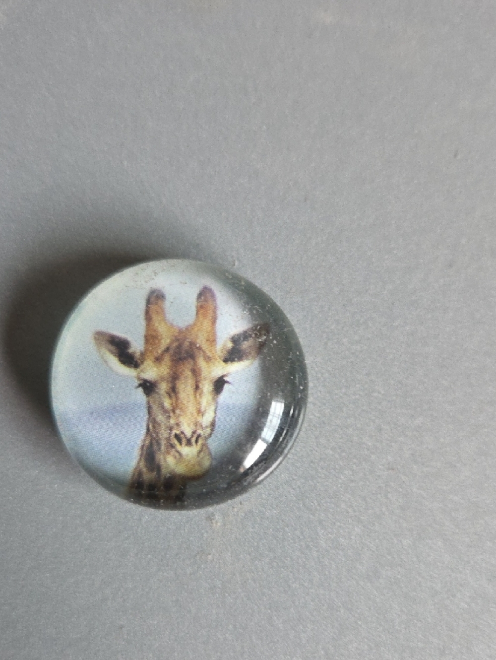 Multi Fridge Magnet Collection - Picture 2 of 9